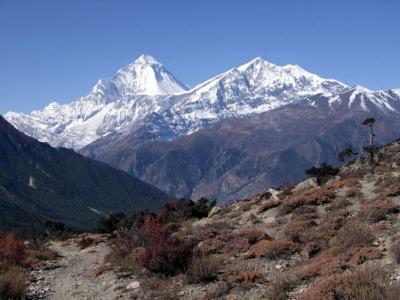 dhaulagiri french pass trek