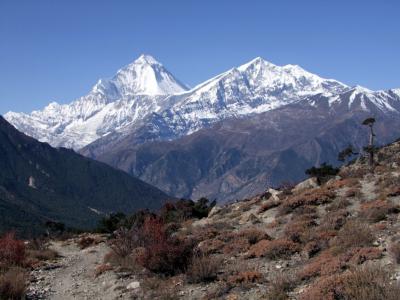 Dhaulagiri French Pass Trek